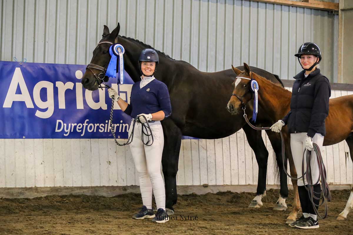 Norsk-Varmblod-Utstilling-Sandnes-Raia-og-HR's-Dreamtown