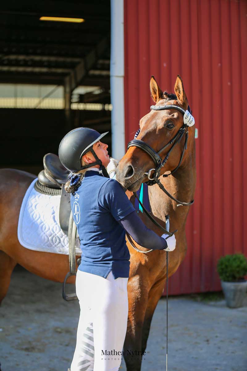 Norsk-Varmblod-Utstilling-Sandnes-marquisa