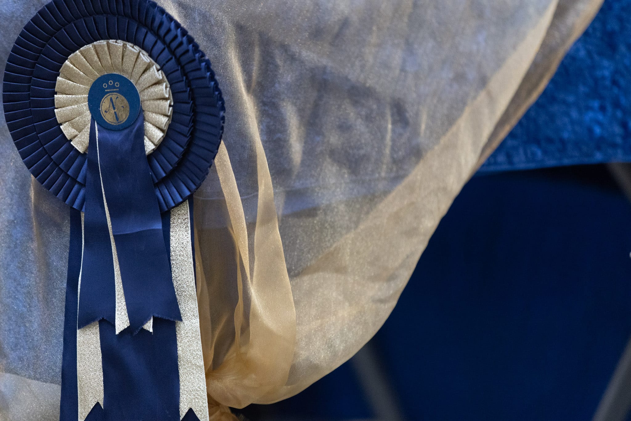 Norsk_Varmblod_Eliteskuet_Sportgarden_20230930_NV_Stemning_5Q2A8731_2048px