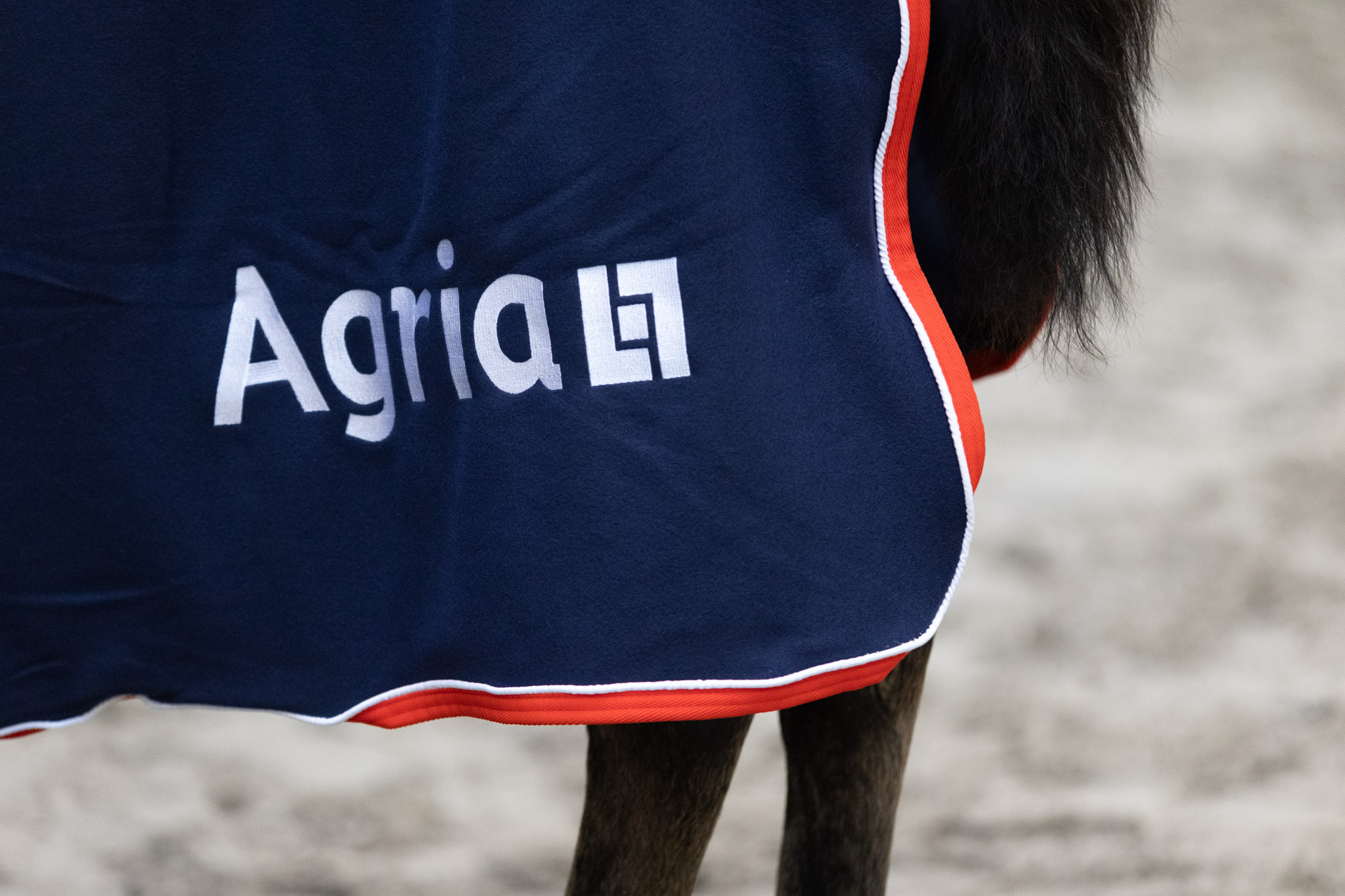 Norsk_Varmblod_Eliteskuet_Sportgarden_20230930_NV_Stemning_5Q2A9787_2048px