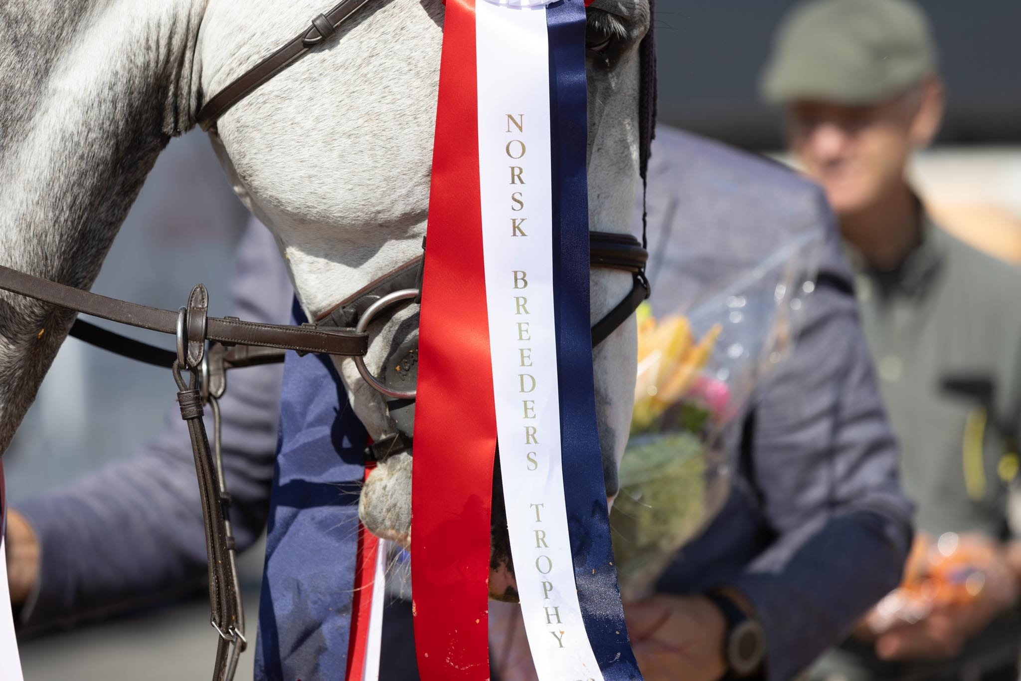 Jamne-Design_NBT-6_Arendal_Stemning_Norsk_Varmblod_Breeders_Open_dekken-20230820-5Q2A7872stemning_sprang_2048px