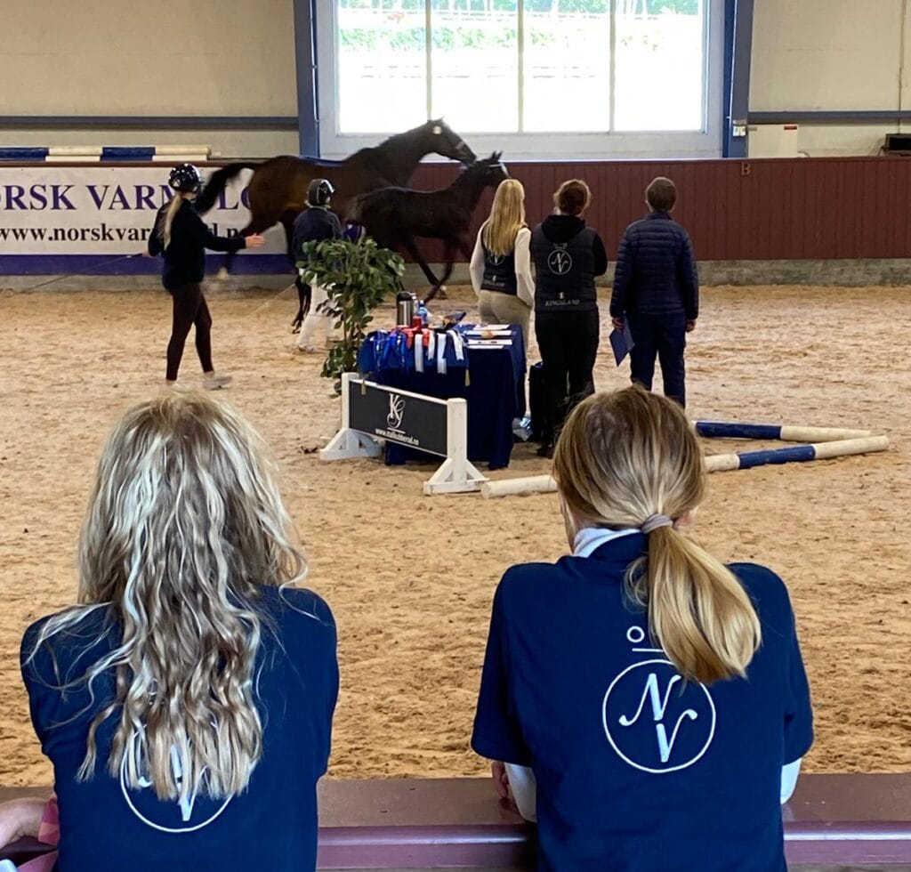 WhatsApp Image 2024-08-27 at 15.28.23