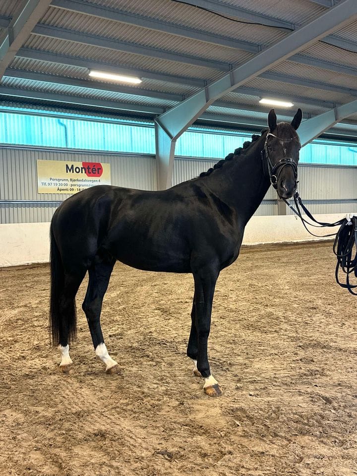 461704799_1037771331464970_1536495464698244673_n