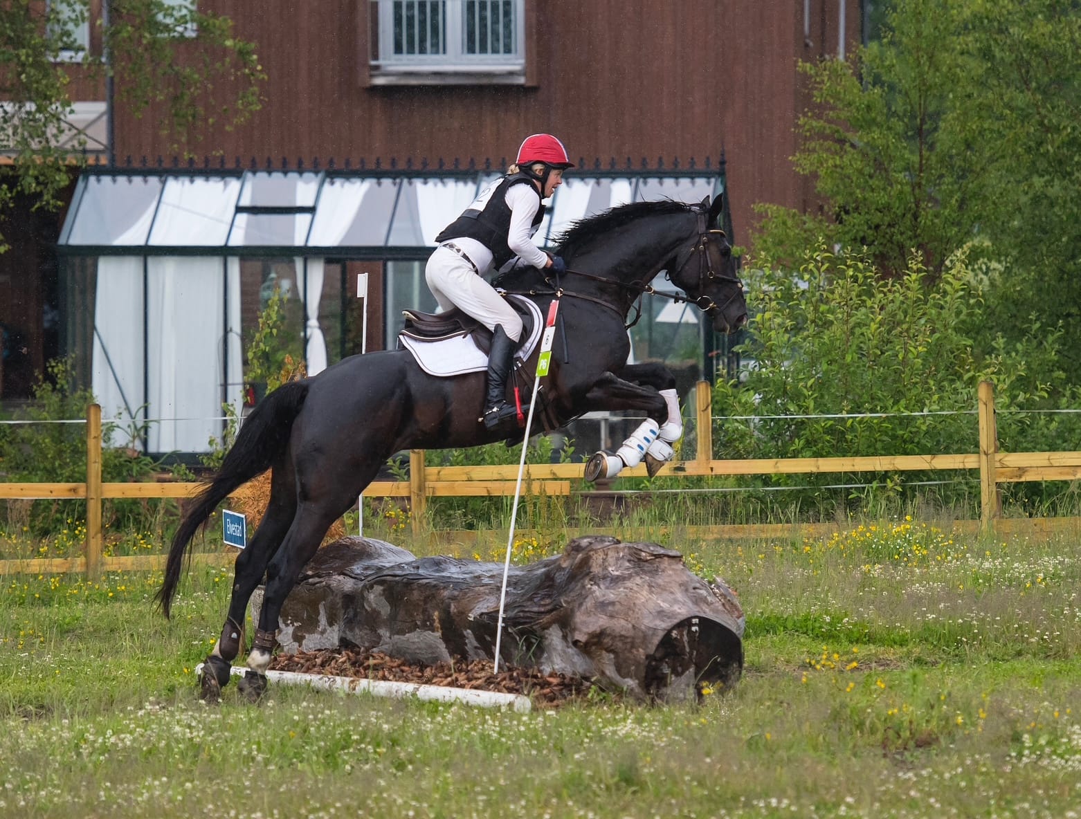 150625_763 copy