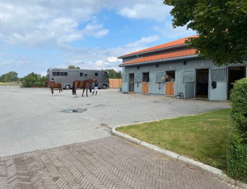 Utstilling Stall Kubberød / Region Øst