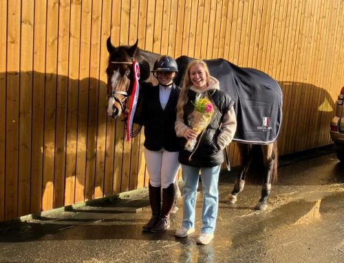 Hallmesterskap i dressur og sprang 2025