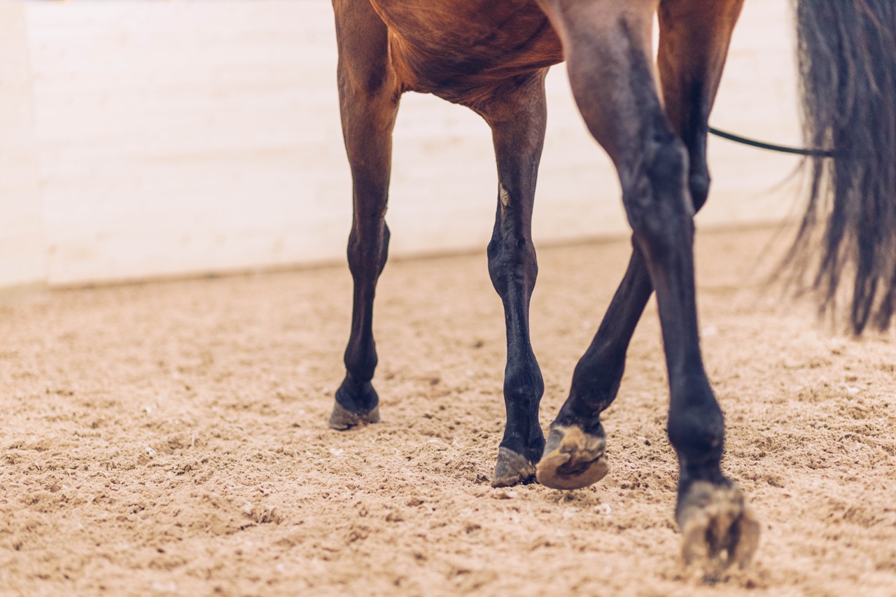 agria-pressemelding – stort