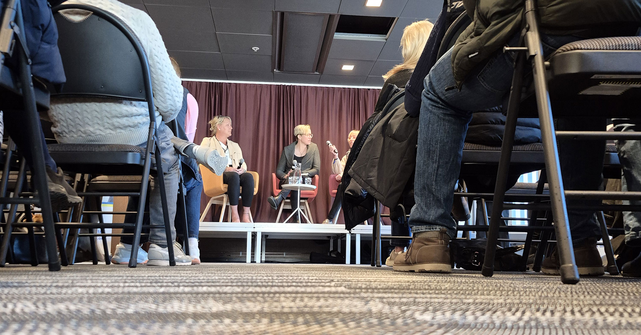 Norsk-Varmblod-Swedish-Breeder-Day1000026489