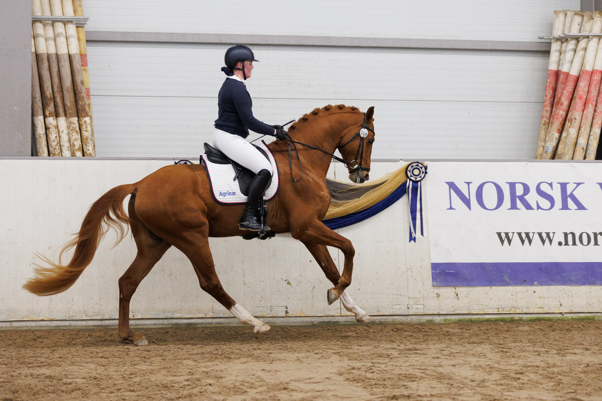 15032024_Jamne-Design-Norsk_Varmblod_Hingstekaring_KAT06-Soros-Darwin_Starum_ABJ_8159_2048px