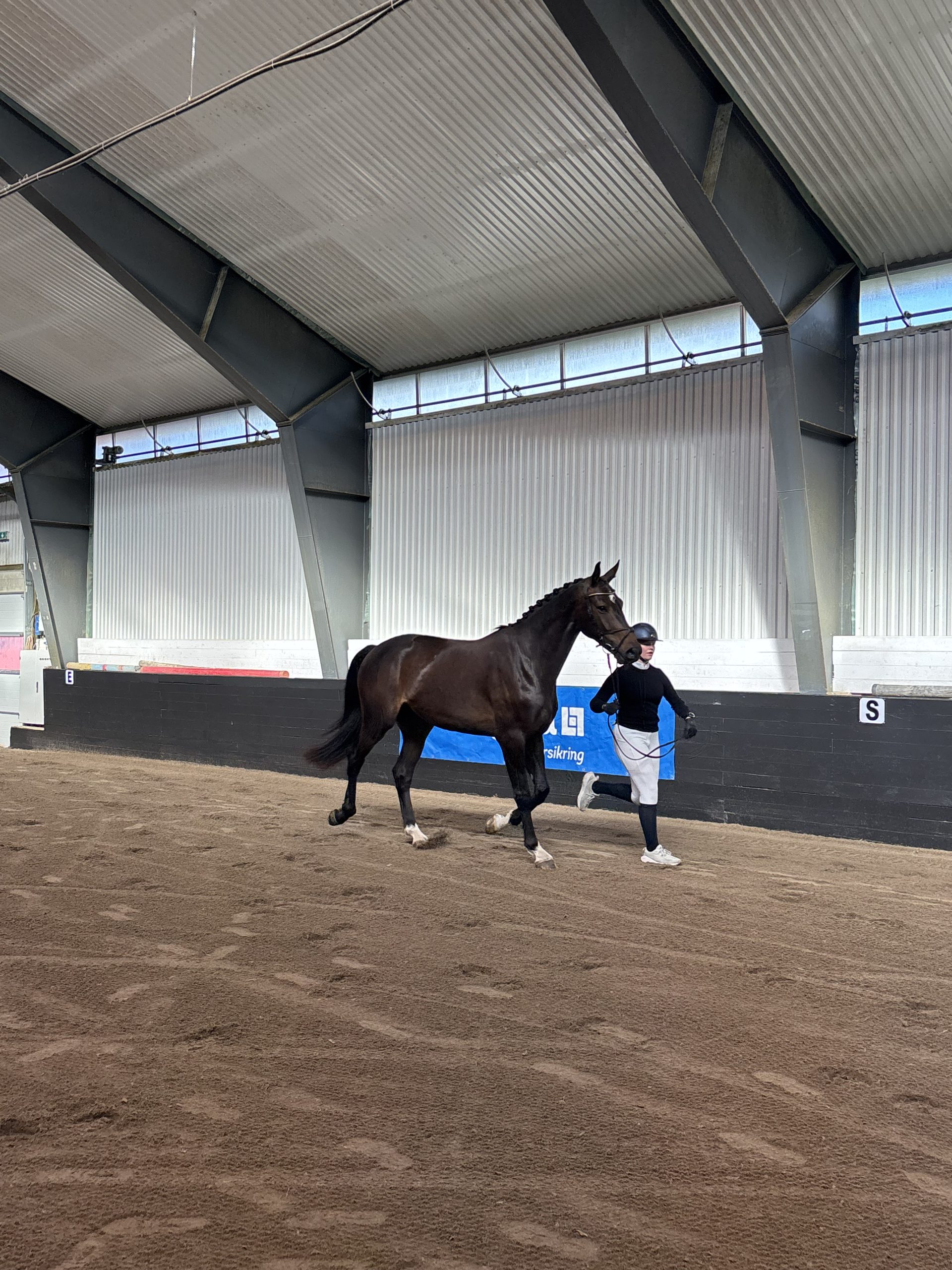 Omer-vant-Specialleke Z-IMG_5044
